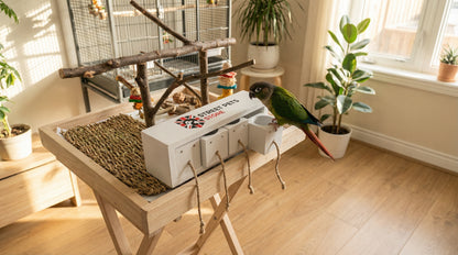 Parrot perched on a wooden stand with a white box in a room with plants and a birdcage.
