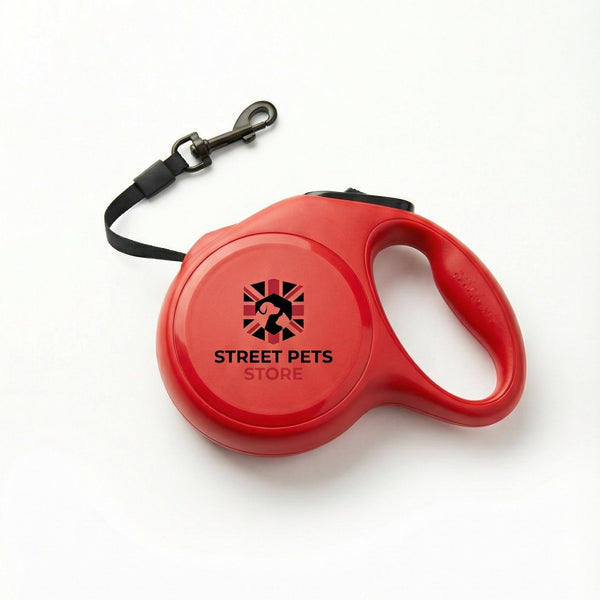 Retractable Cat Leash