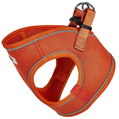 Bunty Voyage Harness