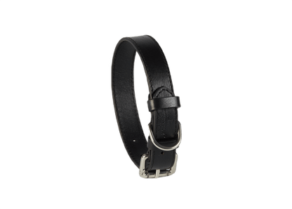 Baker & Bray Sustainable Leather Dog Collar | Black