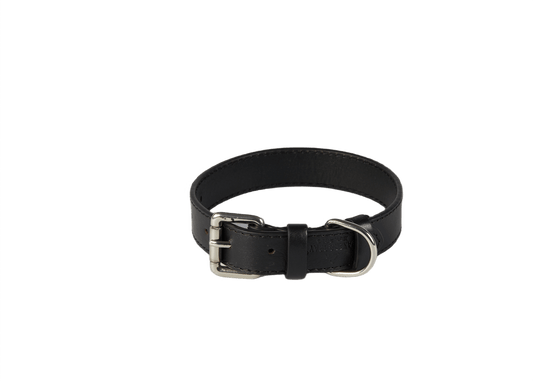Baker & Bray Sustainable Leather Dog Collar | Black