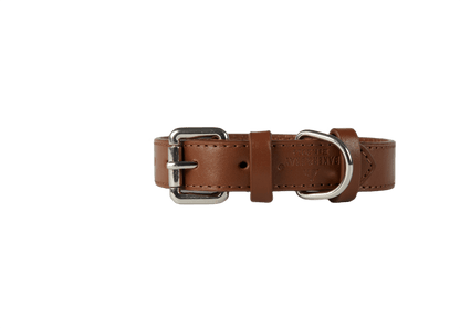 Baker & Bray Sustainable Leather Dog Collar | Brown