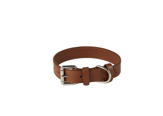 Baker & Bray Sustainable Leather Dog Collar | Brown