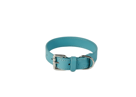 Baker & Bray Sustainable Leather Dog Collar | Lagoon