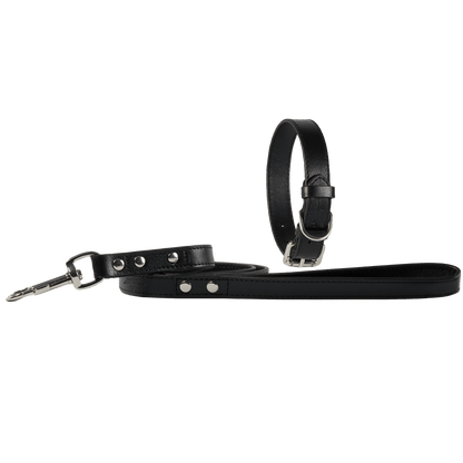 Baker & Bray Sustainable Leather Dog Collar & Lead Set | Black