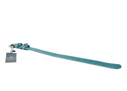 Baker & Bray Sustainable Leather Dog Collar & Lead Set | Lagoon