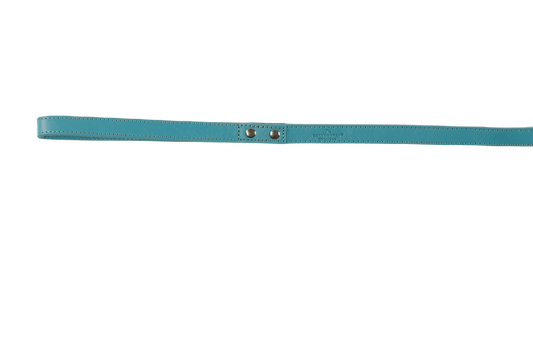 Baker & Bray Sustainable Leather Dog Collar & Lead Set | Lagoon