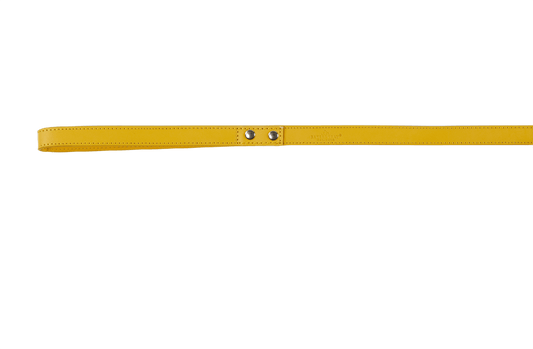 Baker & Bray Sustainable Leather Dog Collar & Lead Set | Lemon