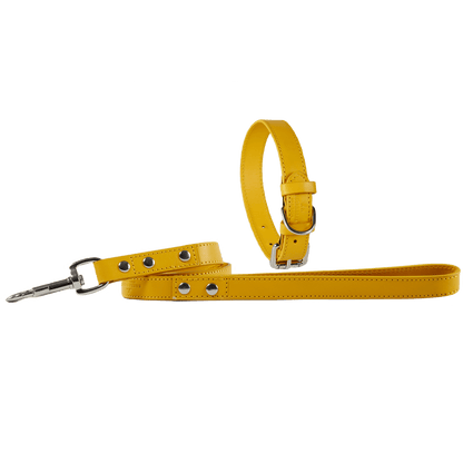 Baker & Bray Sustainable Leather Dog Collar & Lead Set | Lemon