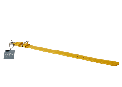 Baker & Bray Sustainable Leather Dog Collar & Lead Set | Lemon