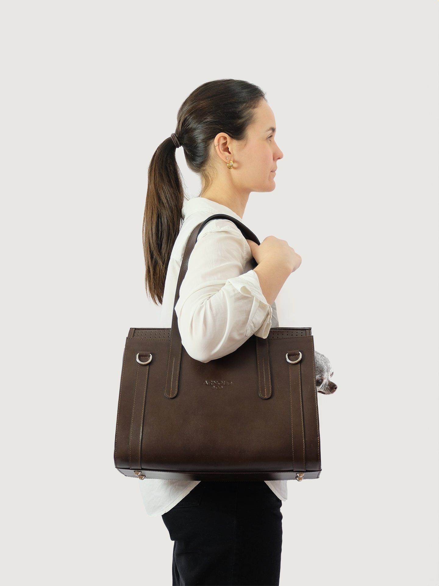 Arnold & Co The Classic | Leather Pet Carrier