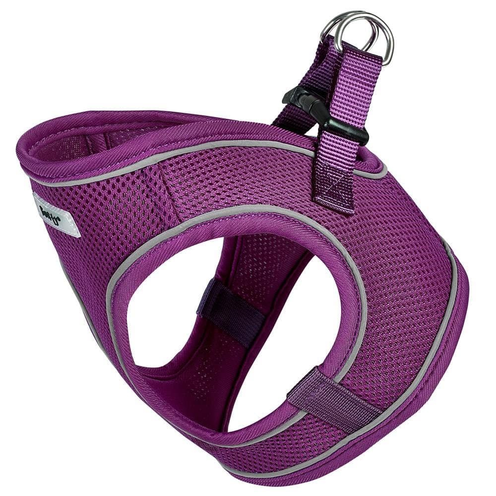 Bunty Voyage Harness