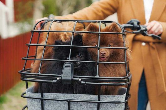 AtranVelo DUO AVS Pet Bike Basket
