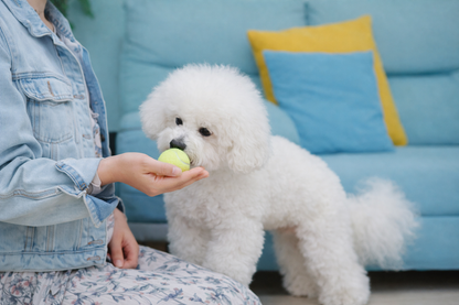 Automatic Dog Ball Launcher Interactive Fetch Toy for Dogs