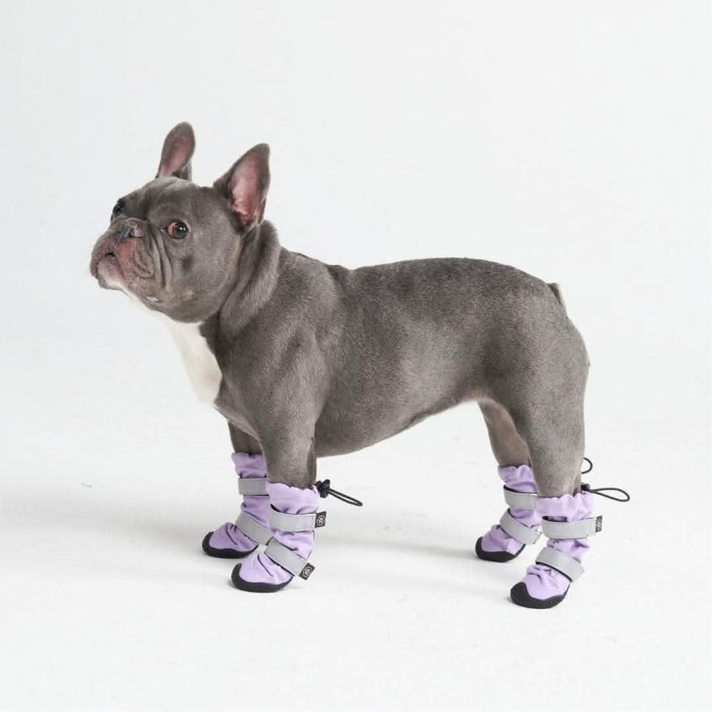 Waterproof Dog Boots with Anti-Slip Sole – Protective Shoes for Dogs