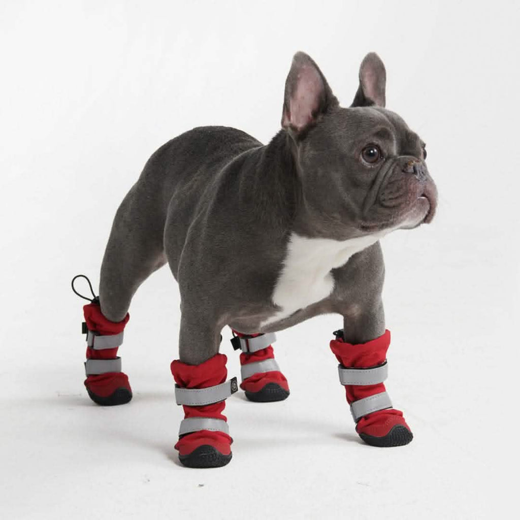 Waterproof Dog Boots with Anti-Slip Sole – Protective Shoes for Dogs